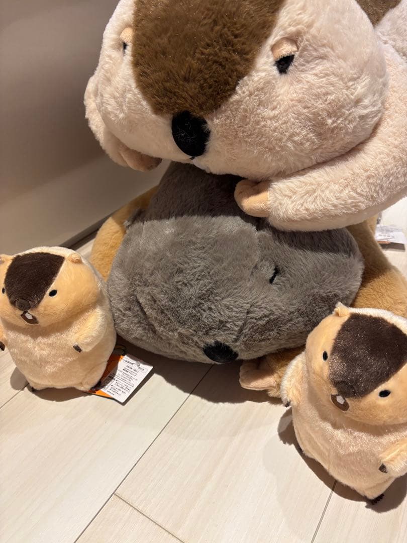 Dｒ.マーモットまもちおもプクのぺたーん＆マモ相撲ぬいぐるみ&絶叫ギミックセット