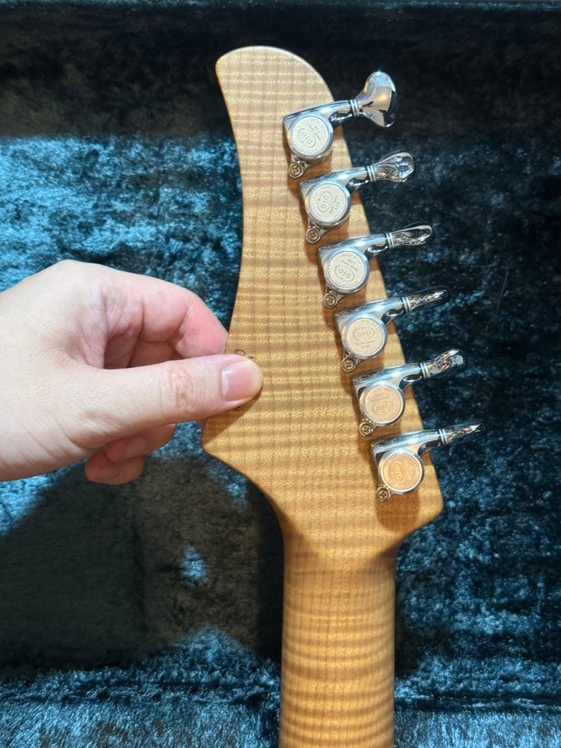 ギター T's Guitars DTL-22 custom order