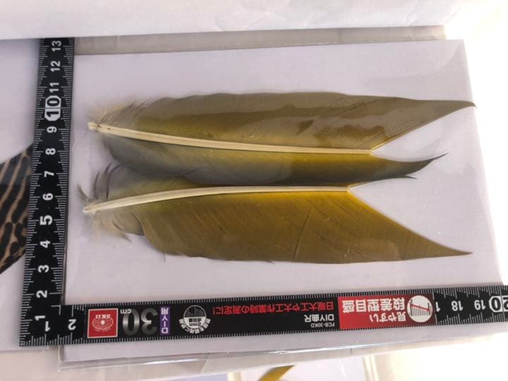 『匿名配送』フライフィッシングマテリアル　サーモンフライ、ウェットフライ特化品