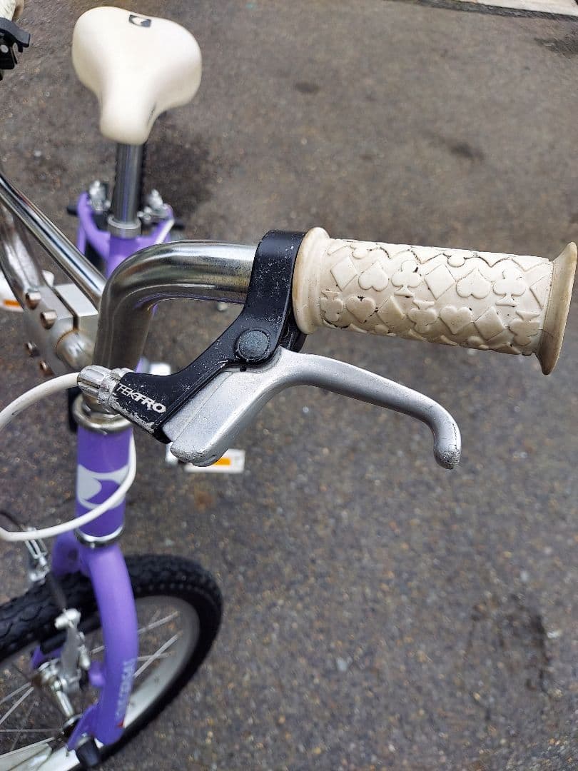 LOUIS GARNEAU ルイガノ パープル 引き取り限定