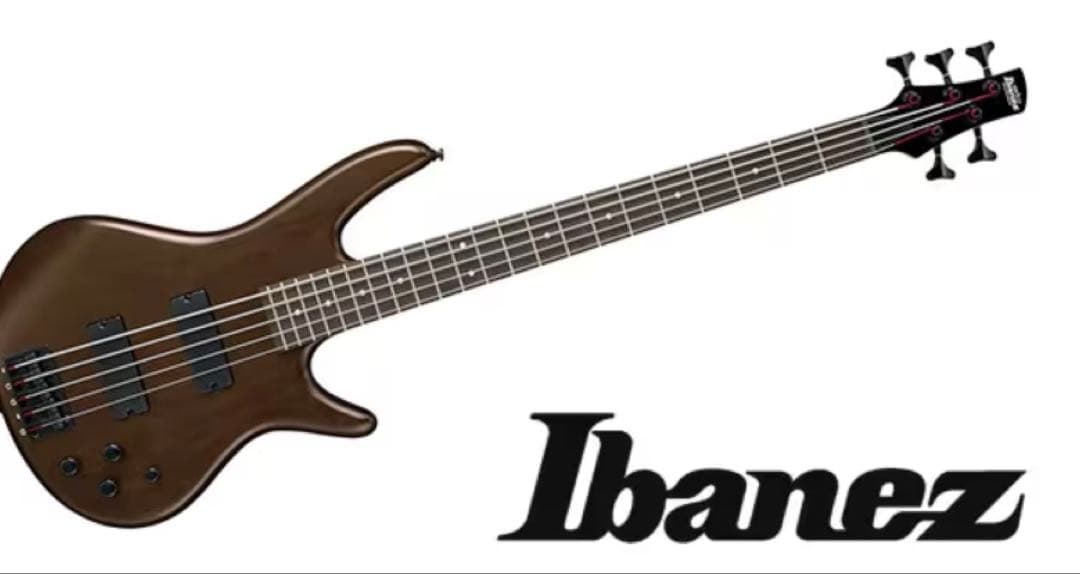 【新品同様】5弦ベース Ibanez GSR205B-WNF