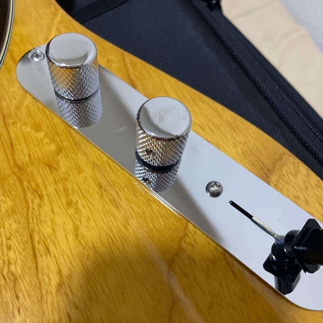 ギター FREEDOM CUSTOM GUITAR RESEARCH Shaker