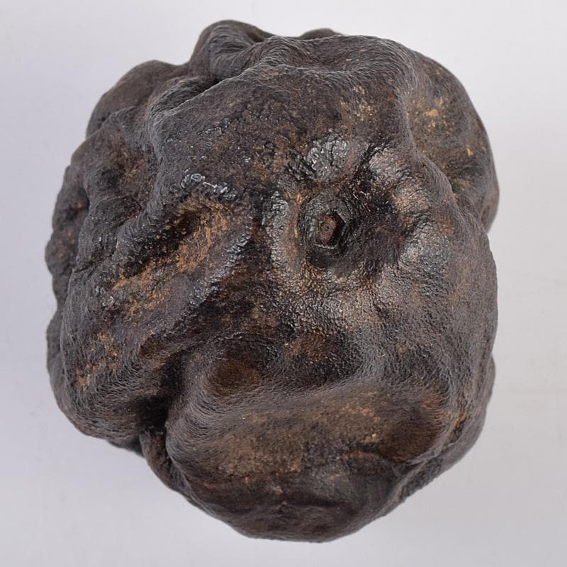 茶道具　乾漆　香合　花押あり　在銘　書付共箱　V　R8882