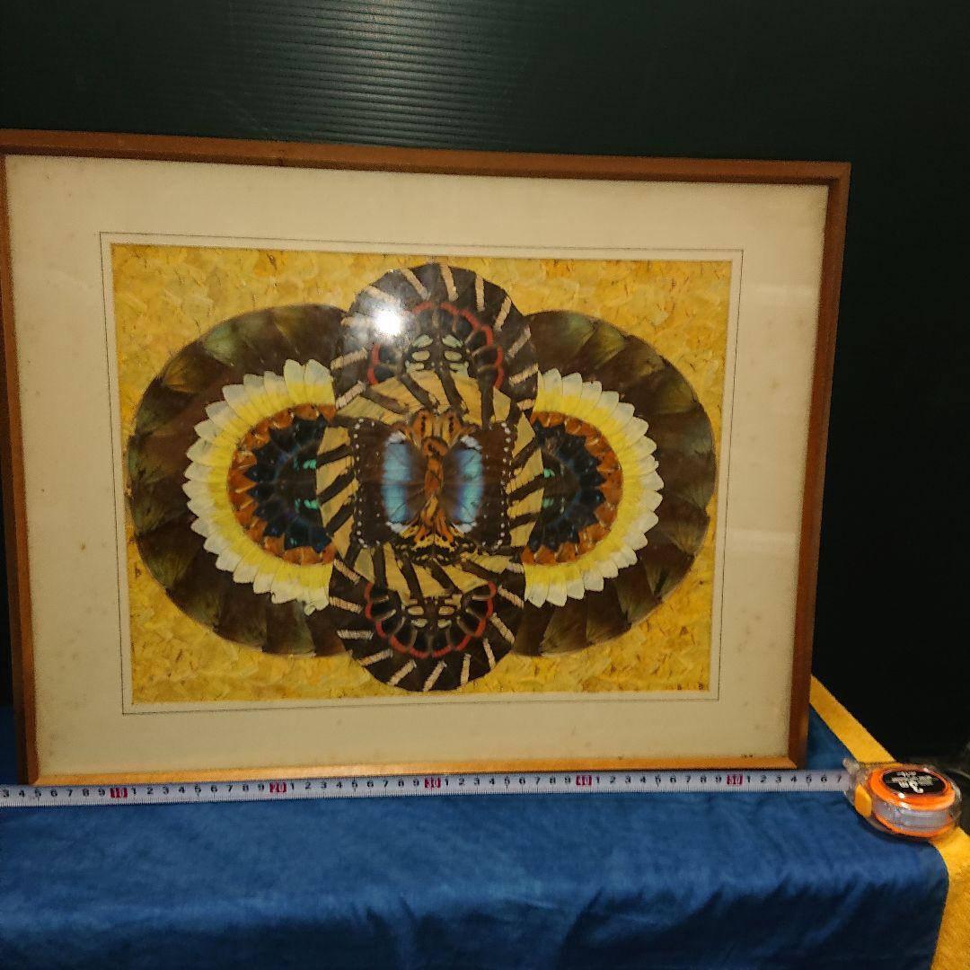 蝶画、貼絵、額入、レトロ標本
