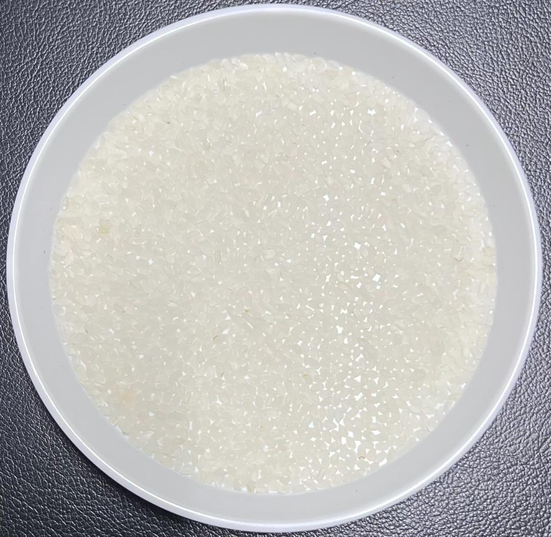 一等検査 特別栽培米 令和7年産 京都 丹後 コシヒカリ 白米 約 27kg