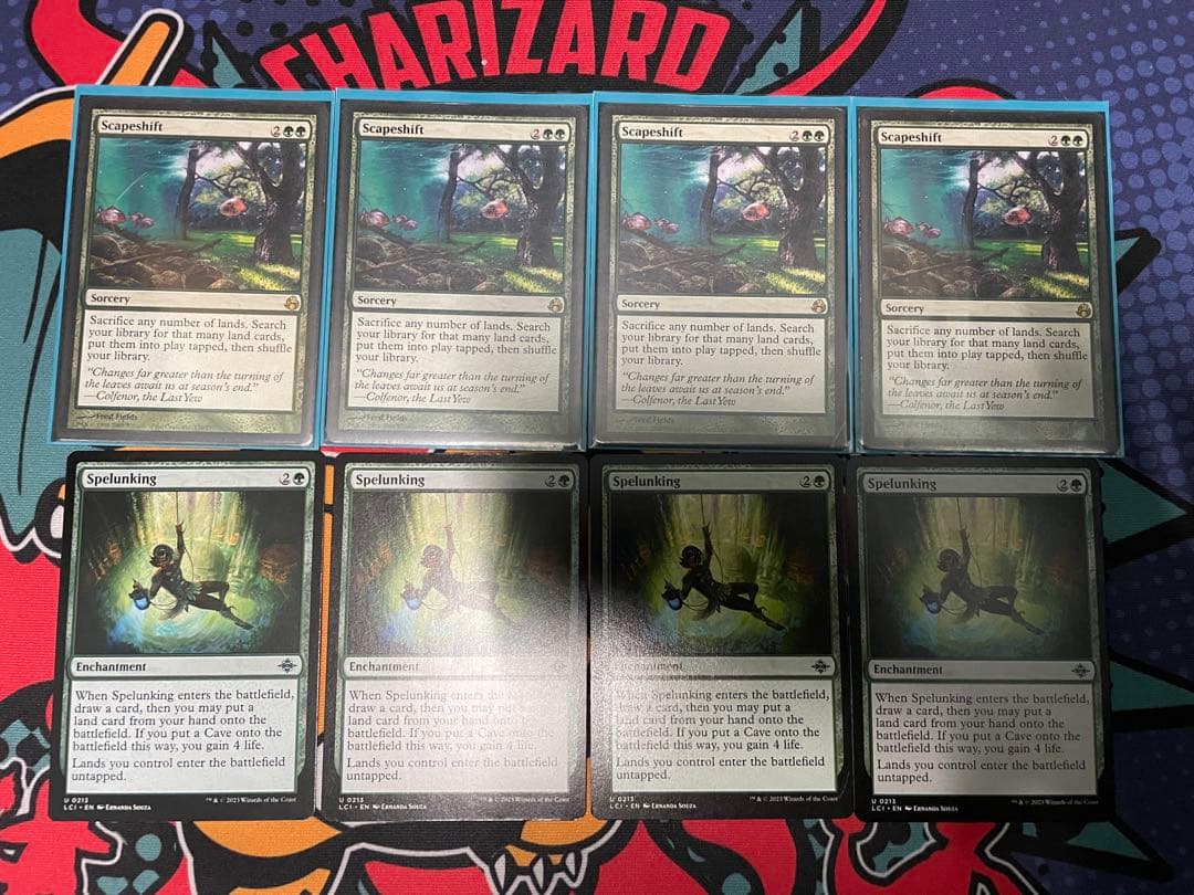 パイオニア風景の変容セット　英語