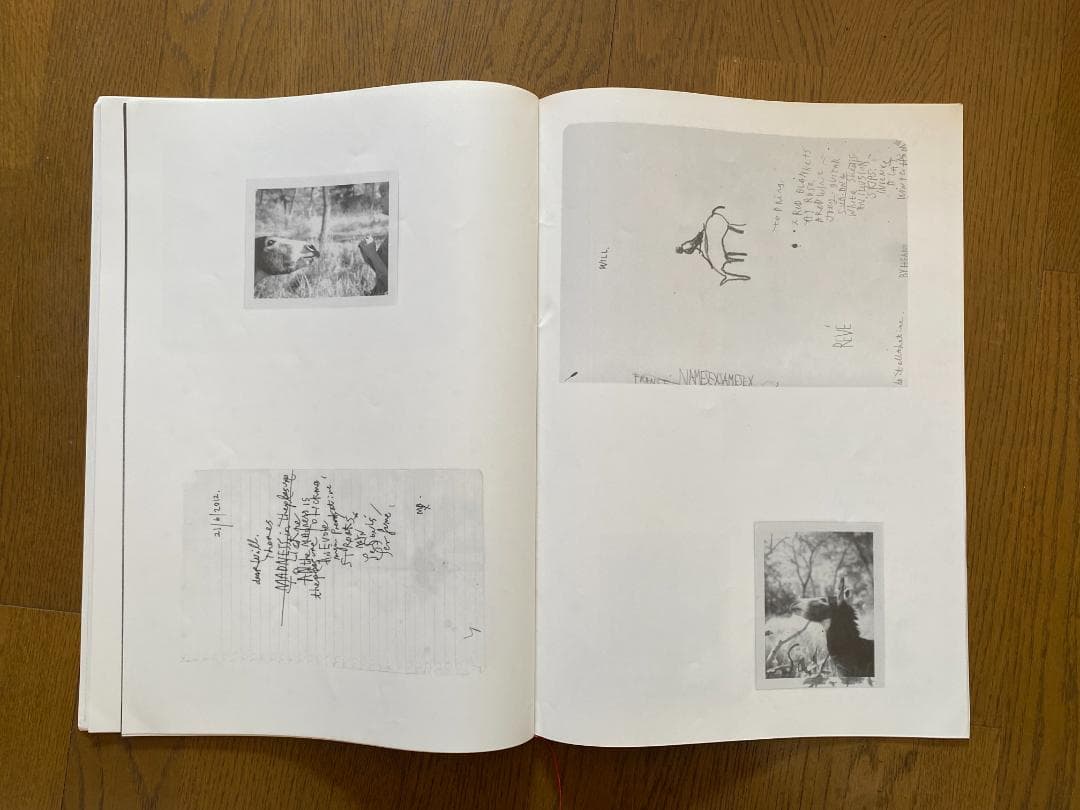 マーク・ボスウィック　100部限定　アートブック 貴重　オリジナルプリント付