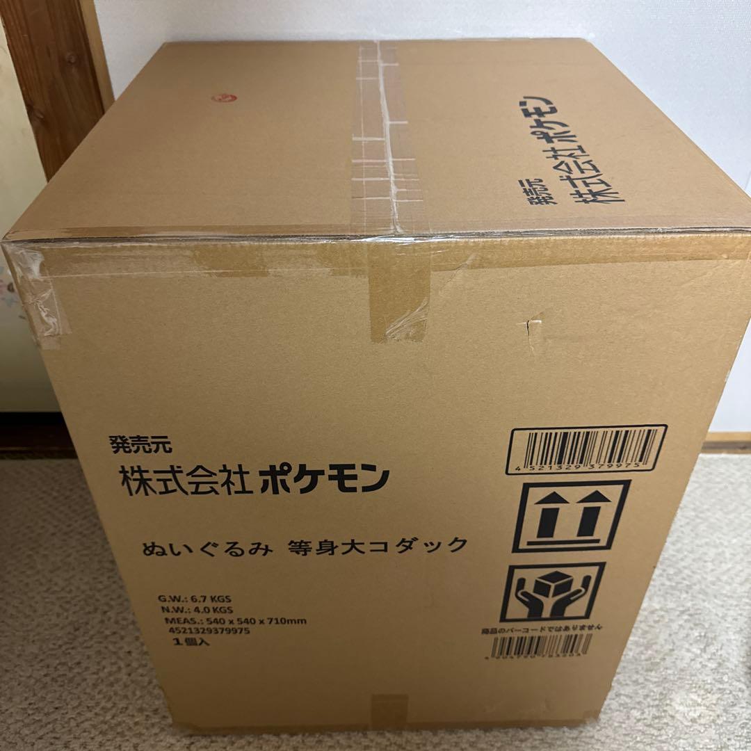 等身大コダック　新品未開封