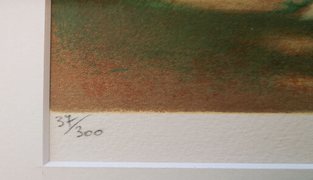 ♦️ヴィリアム・フォンテーヌ♦️「ルールマラン村」カラーリトグラフ 32/300