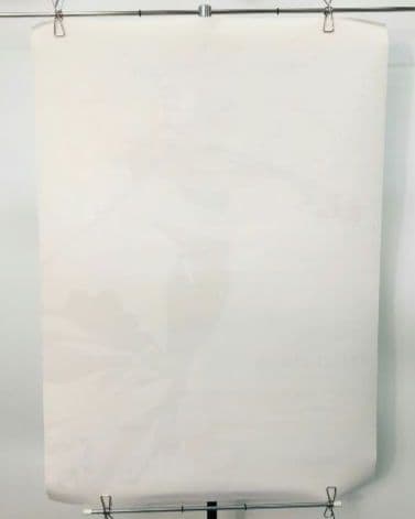 四月は君の嘘 B2 ポスター