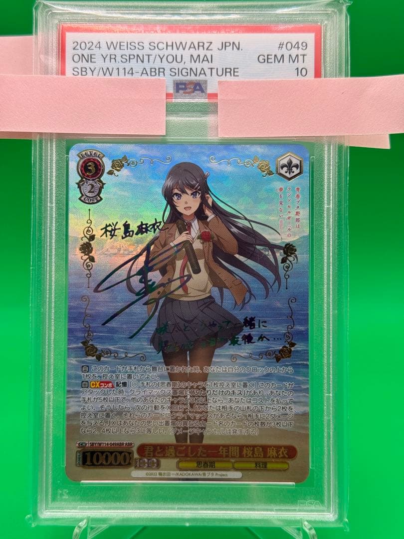 sakuta　君と過ごした一年間　桜島 麻衣