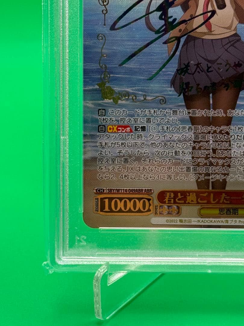 sakuta　君と過ごした一年間　桜島 麻衣