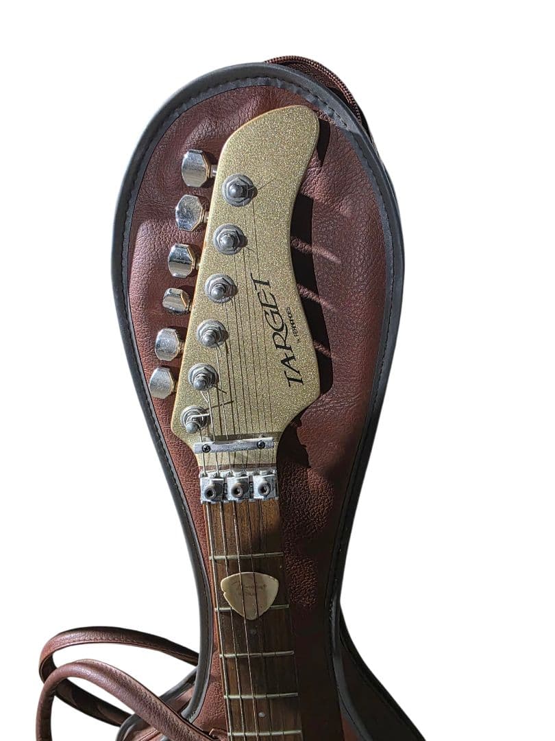 TARGET by FERNANDES HSS エレキギター