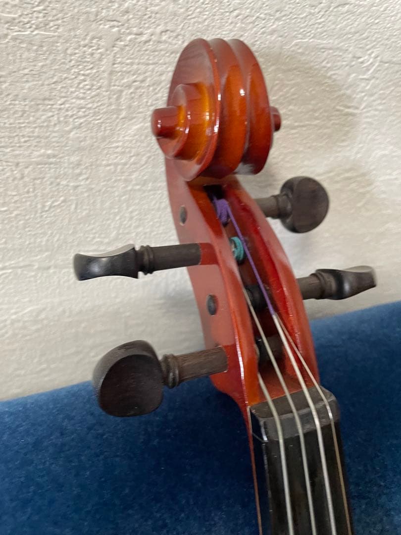 ビオラ　カルロジョルダーノ(VL-1)