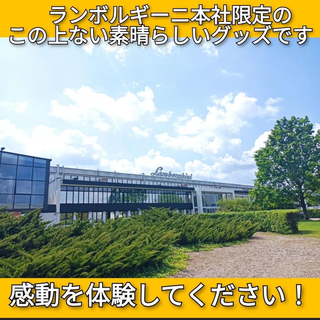 ランボルギーニ　カードホルダー　カードケース　レザー　レッド　赤　カード入れ