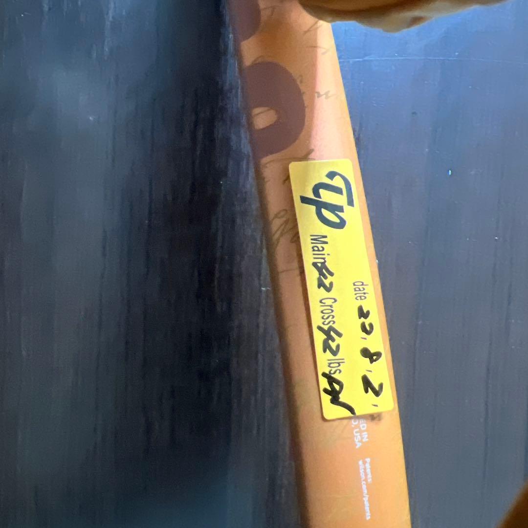 wilson ROLAND-GARROS BLADE98(18×20)V8