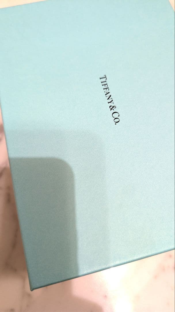 ■試着のみ 新品未使用 TIFFANY 首輪+リードセット Lサイズ 中〜大型犬