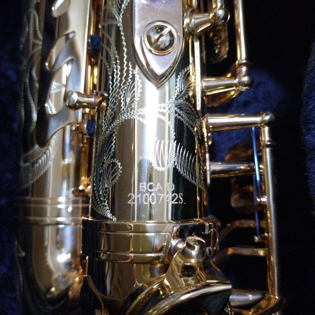 おねたんさん専用