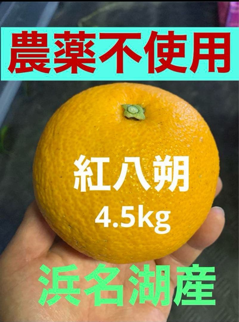 農薬不使用 浜名湖ミカン 2025年度.連絡用 1/20更新　説明読んでね