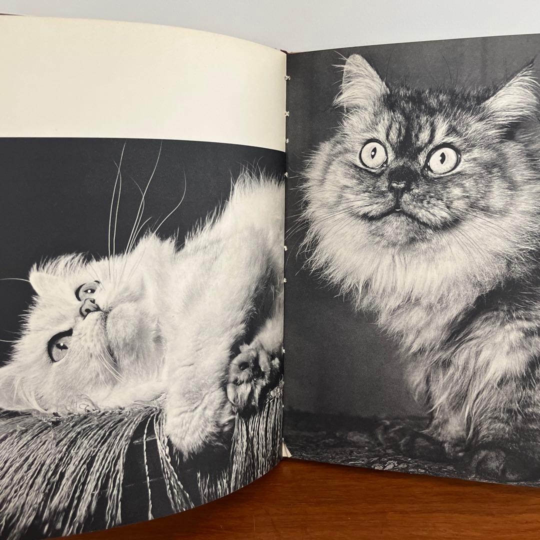 猫 写真集 CHATS HENRI SAAS フランスヴィンテージ