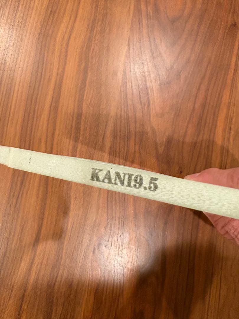 希少❗️カイサラス　シングルフィン　カニエラ　KANI9.5インチ シングルフィン