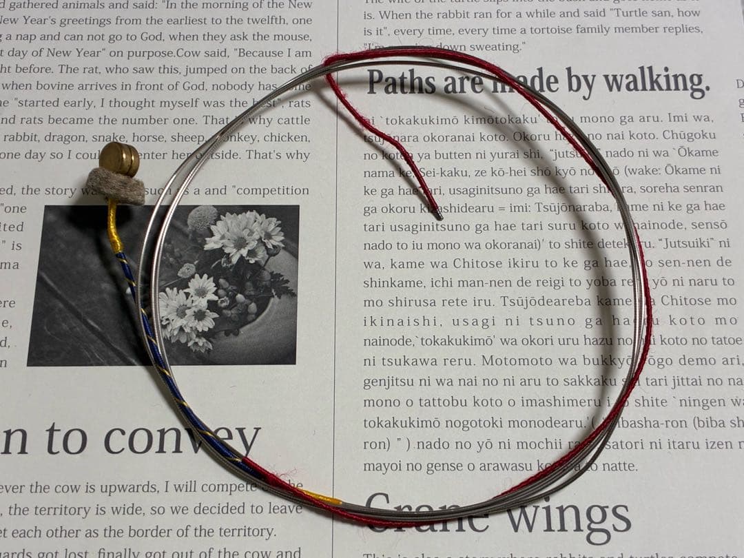 コントラバス弦　Helicore Orchestral 4弦（GDAE）1セット