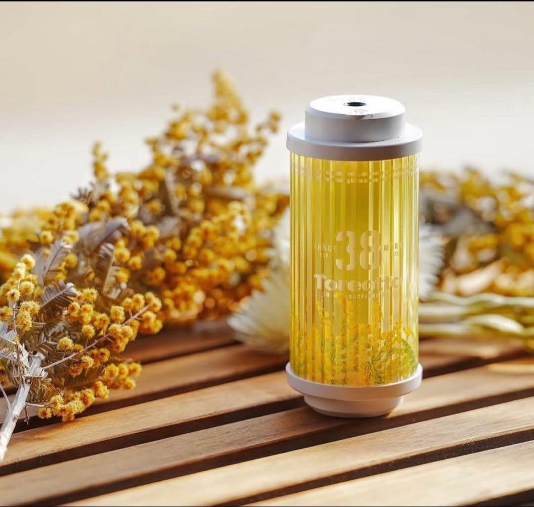 2025年3月8日、1日限定販売品❗️ 38explore mimosa ミモザ