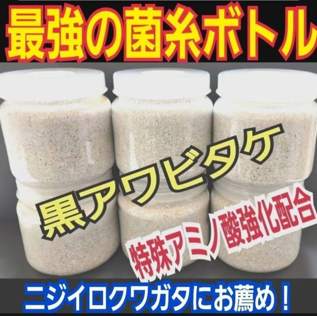 ニジイロクワガタに抜群！黒アワビタケ菌糸瓶【8本】トレハロース強化配合！