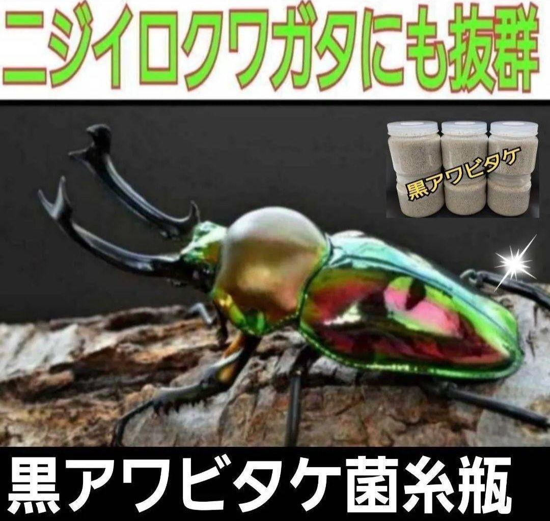 ニジイロクワガタに抜群！黒アワビタケ菌糸瓶【8本】トレハロース強化配合！
