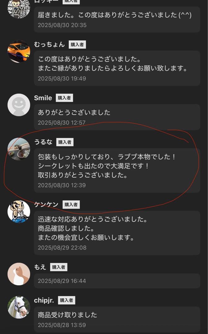 Labubu Big into Energy 2箱