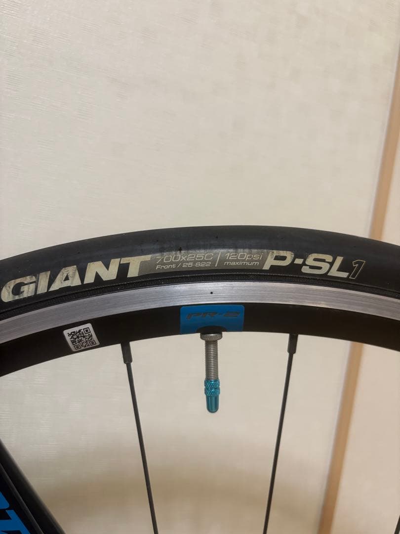 GIANT ロードバイクフレーム 青 P-SL1 【2-1 】購入画面用