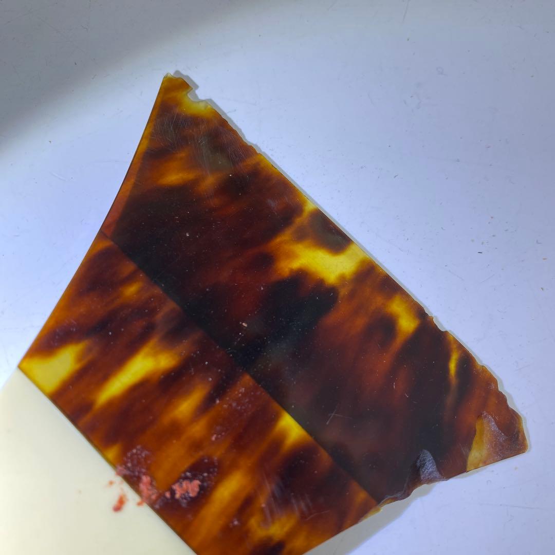 極上バチ　8本　1204g 東K7-1215② トヒチサ