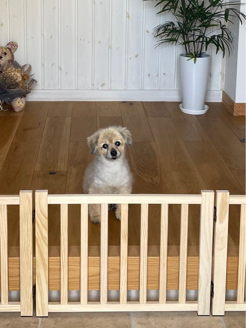 犬用　ペットフェンス　木製　高さ43㎝×長さ約350㎝　自立式　ドッグゲート