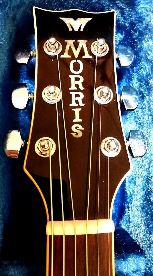 ★縦ロゴ★Gibsonモデル★MORRIS MG-30