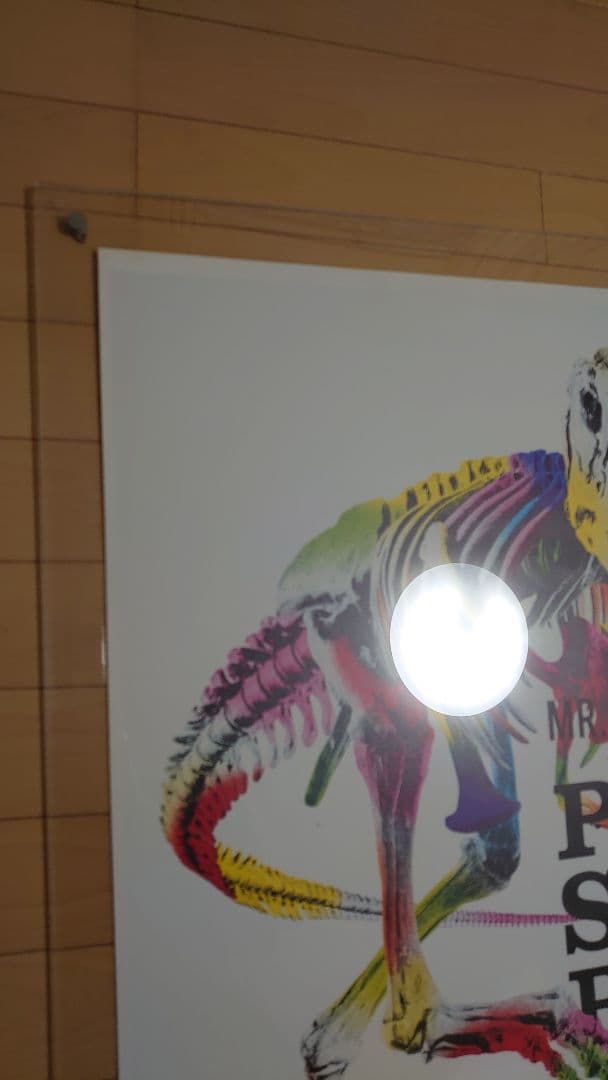 【非売品】 Mr.Children POPSAURUS 2012　ミスチル