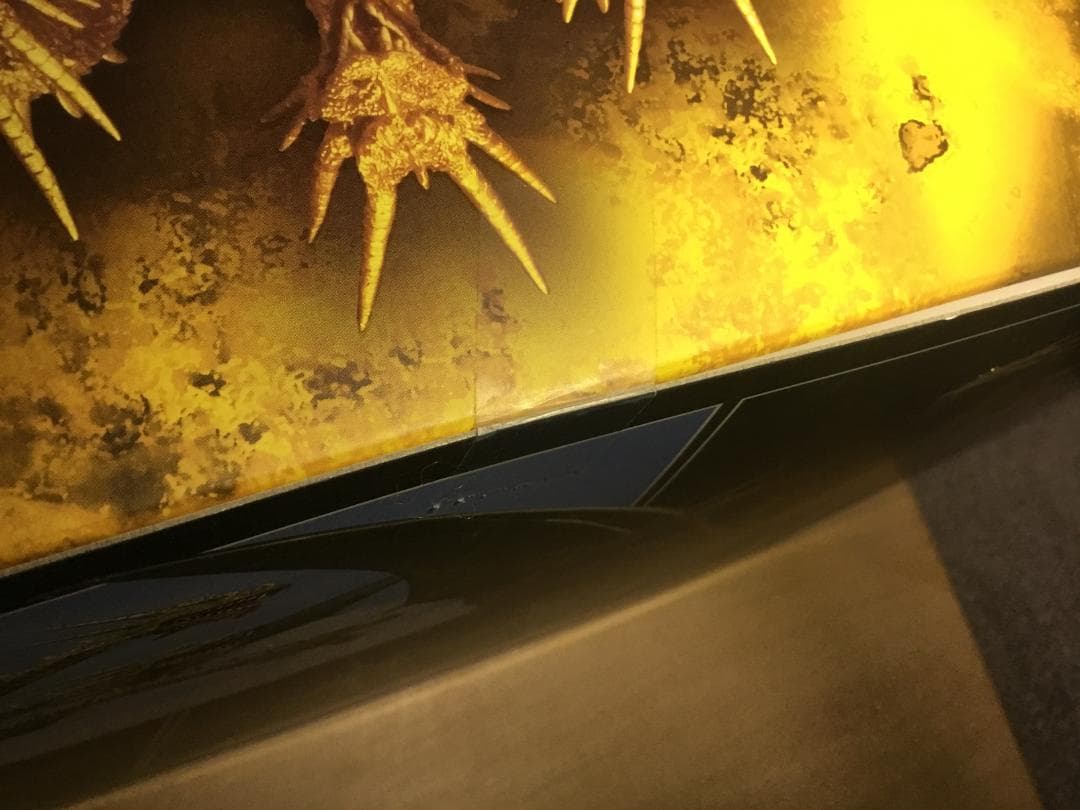 S.H.MonsterArts　キングギドラ