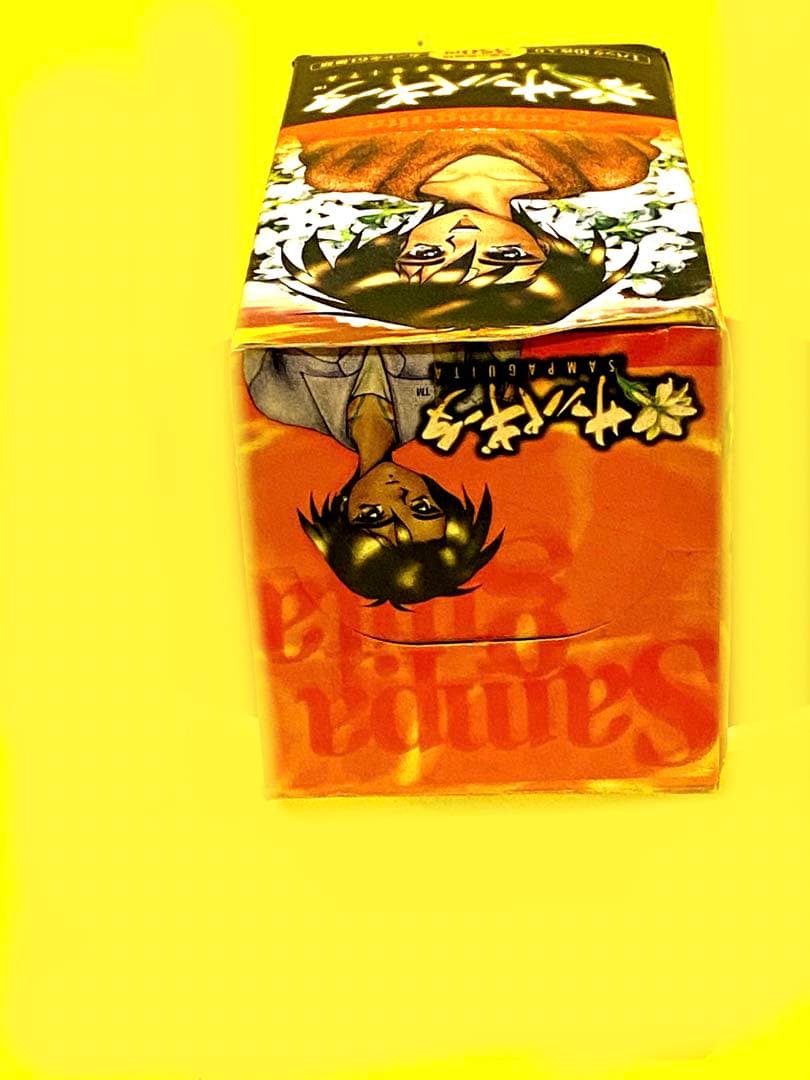 未開封品サンパギータトレーディングカード未展示品15パック入1BOX