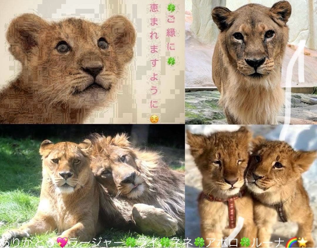 CLOCK ZERO クロックゼロ 缶バッジ