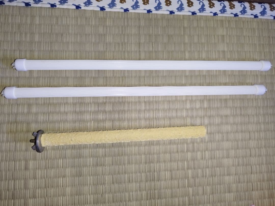 鳥かご ケージ・キャリー セット