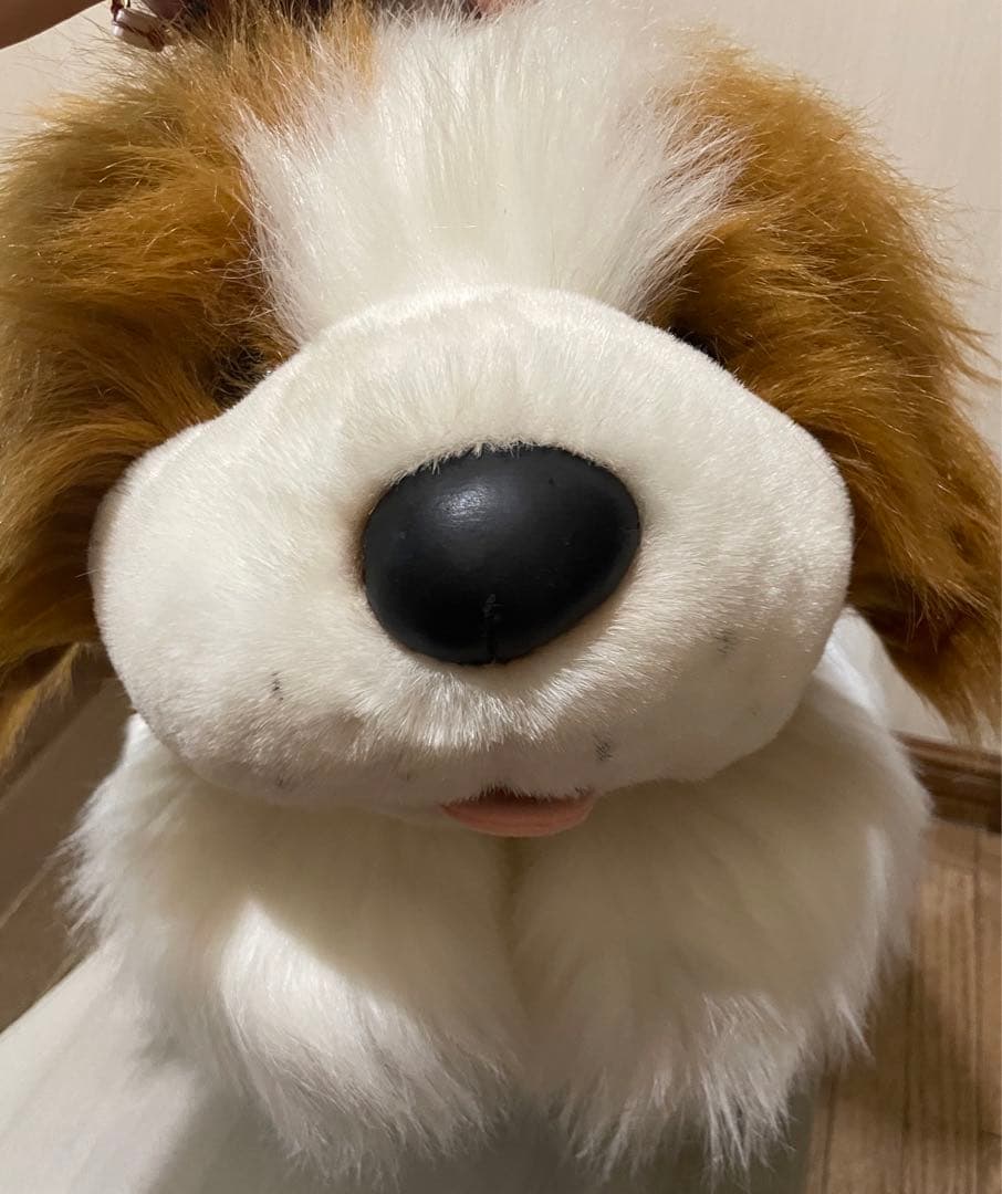 特大　セントバーナード　WARABE 激レア　レトロ