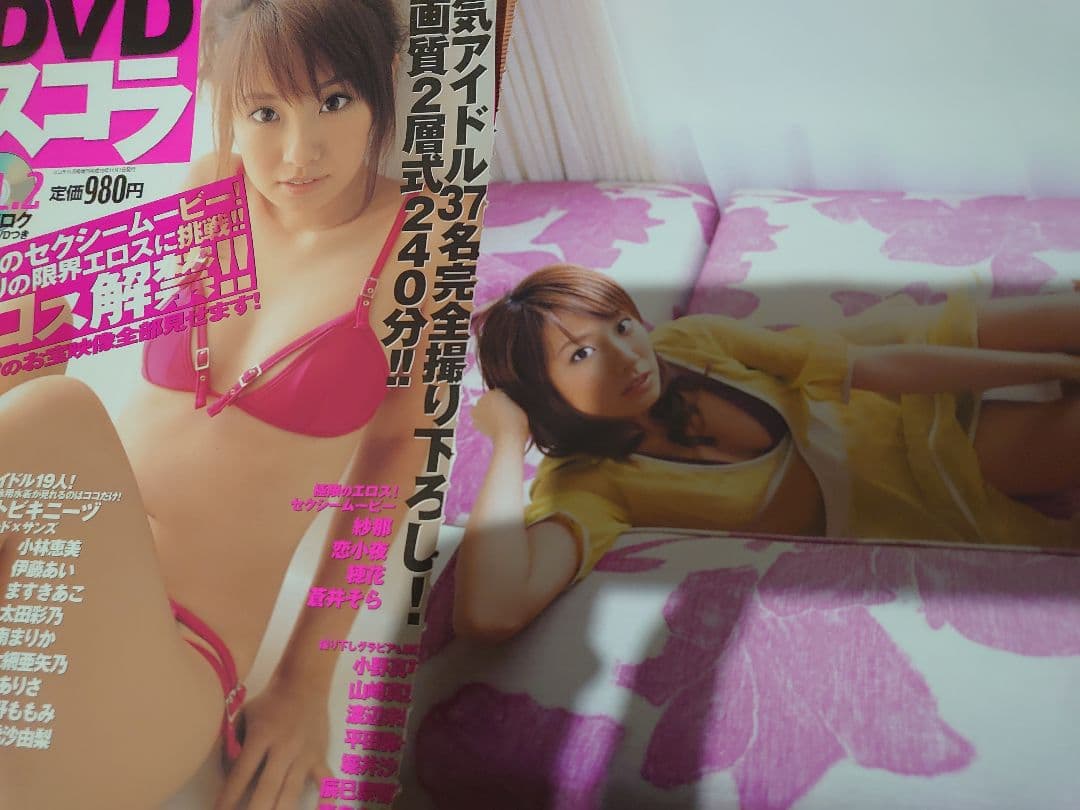 【大量】グラビアアイドル・山本梓さん 雑誌切り抜き