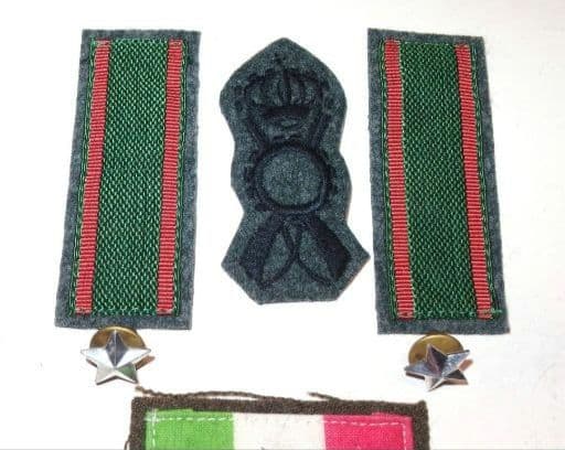 WW2 イタリア軍 第44歩兵師団「クレモナ」＆ 南伊軍「クレモナ戦闘団」徽章