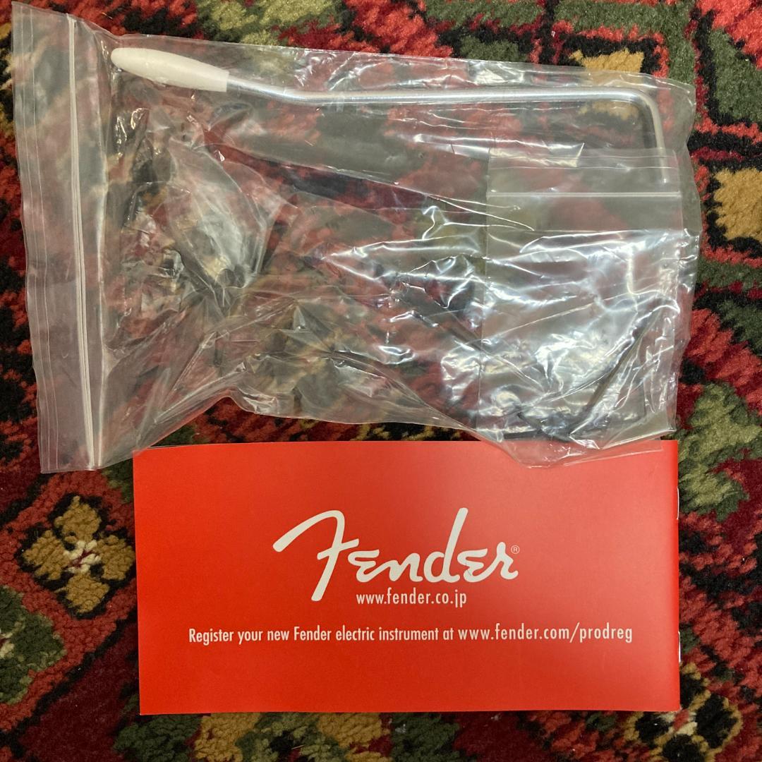 ギター Fender JAPAN Classic 70s MG69 /VWH