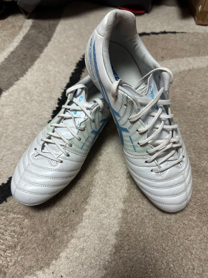 シューズ DS LIGHT X-FLY PRO 2(25.5cm)