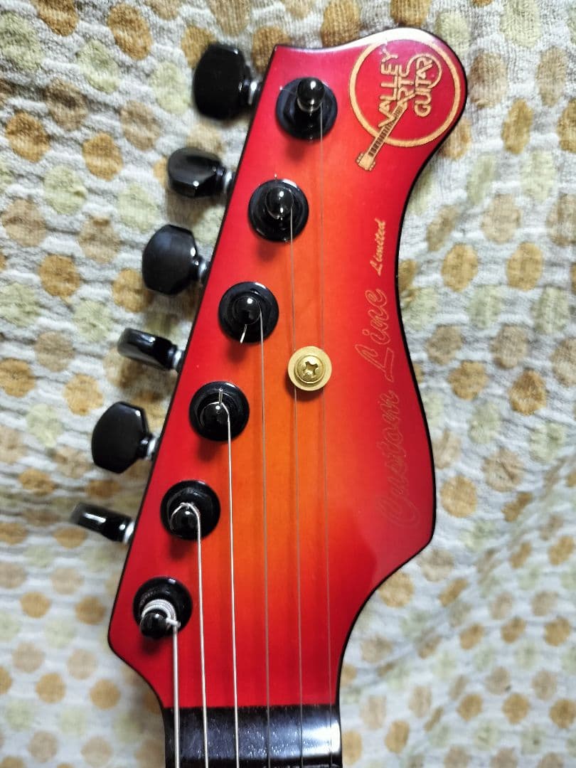 VALLEY ARTS Custom Line Limited Mシリーズ
