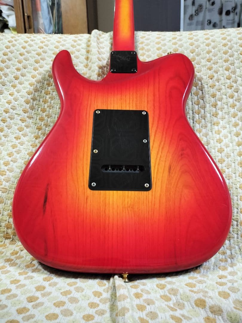 VALLEY ARTS Custom Line Limited Mシリーズ