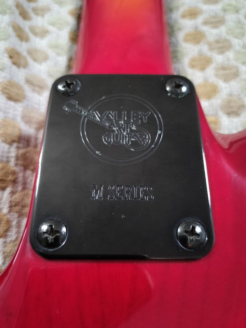 VALLEY ARTS Custom Line Limited Mシリーズ