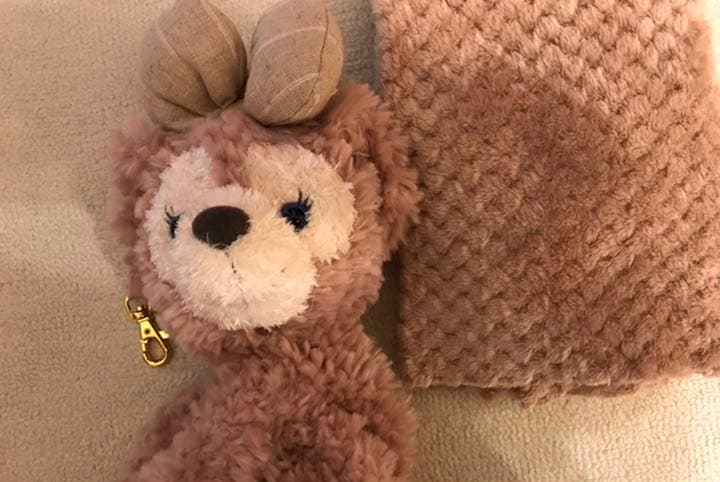 シェリーメイ生地確認用