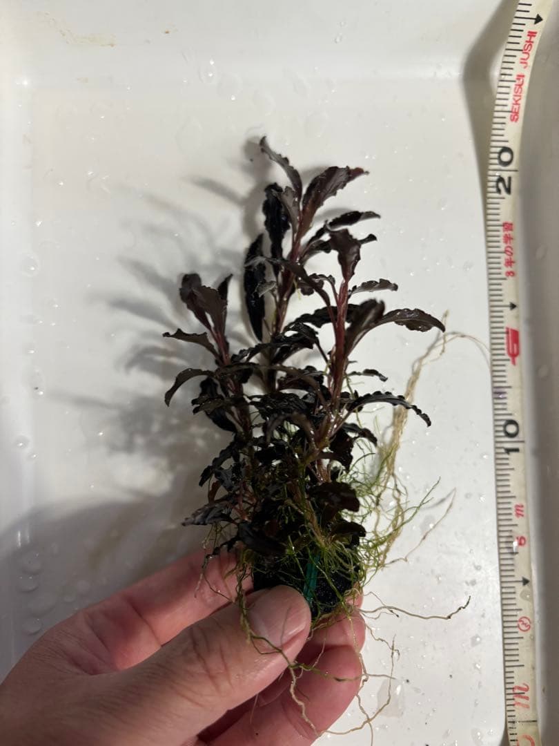 まっちゃん様　クダガン②③⑧⑨