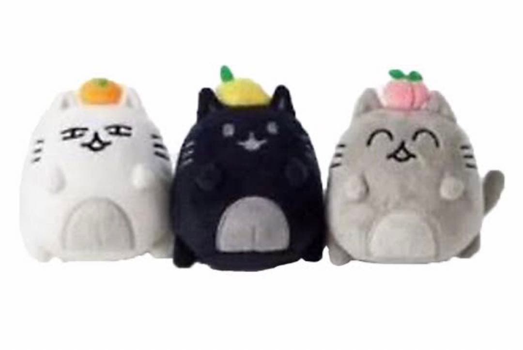 SEVENTEEN JUN 猫　ぬいぐるみキーホルダー3個セット　新品未開封品